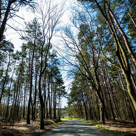 別荘 Berezecki Family