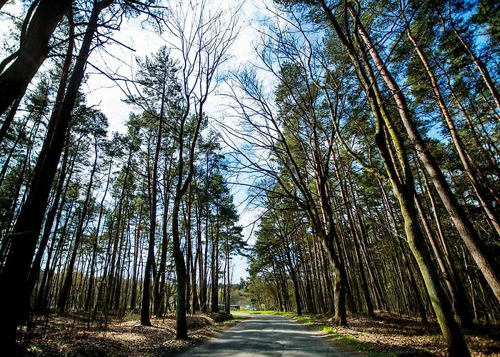 Semesterbostad Berezecki Family